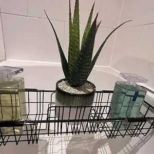  Apartment Precioushouseluxurystay